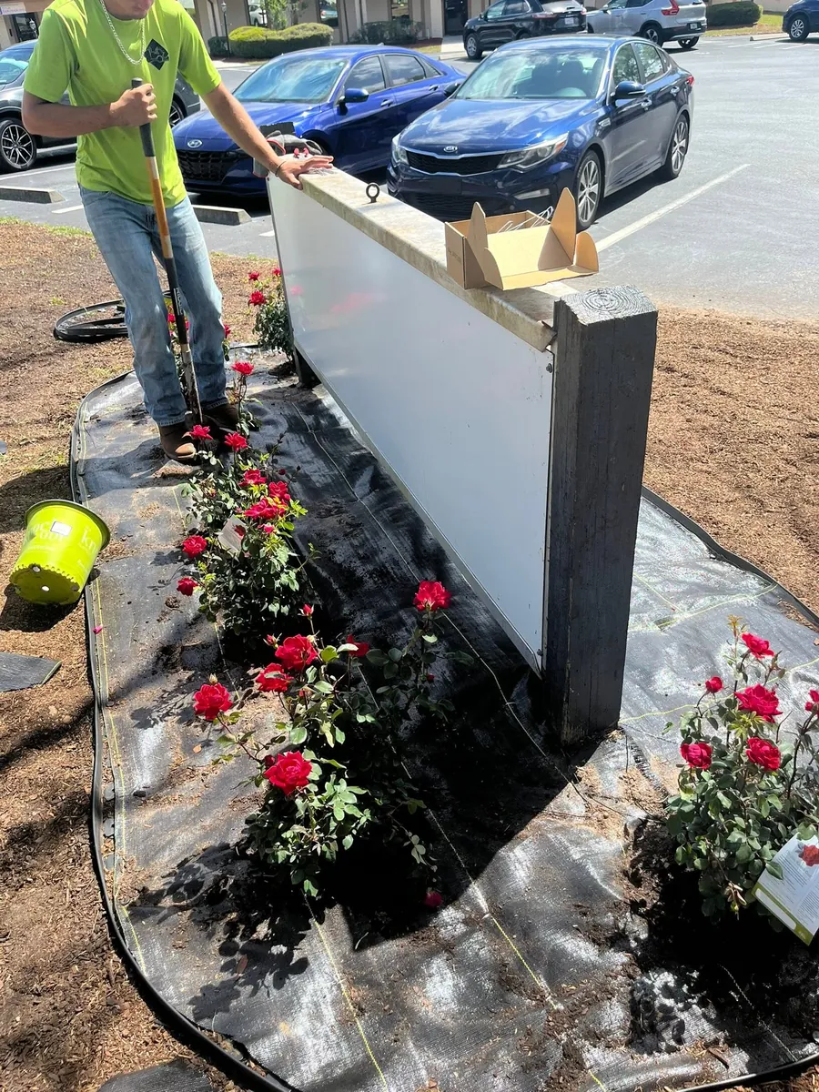 Rose bed install at an Inverness commercial property