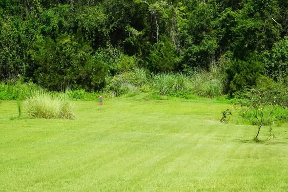 Freshly mowed, striped Floral City lawn