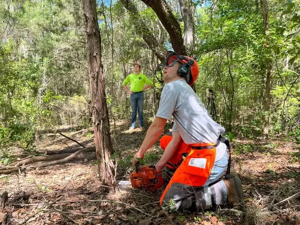 Tree work on a wooded Brooksville-area property