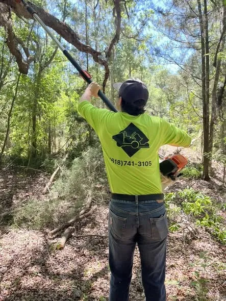 Pole-saw trimming on an Inverness property
