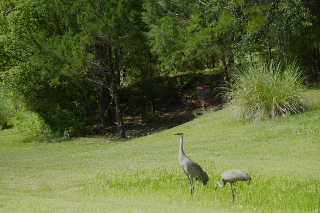 Freshly excavated and graded site-prep work on a property.
