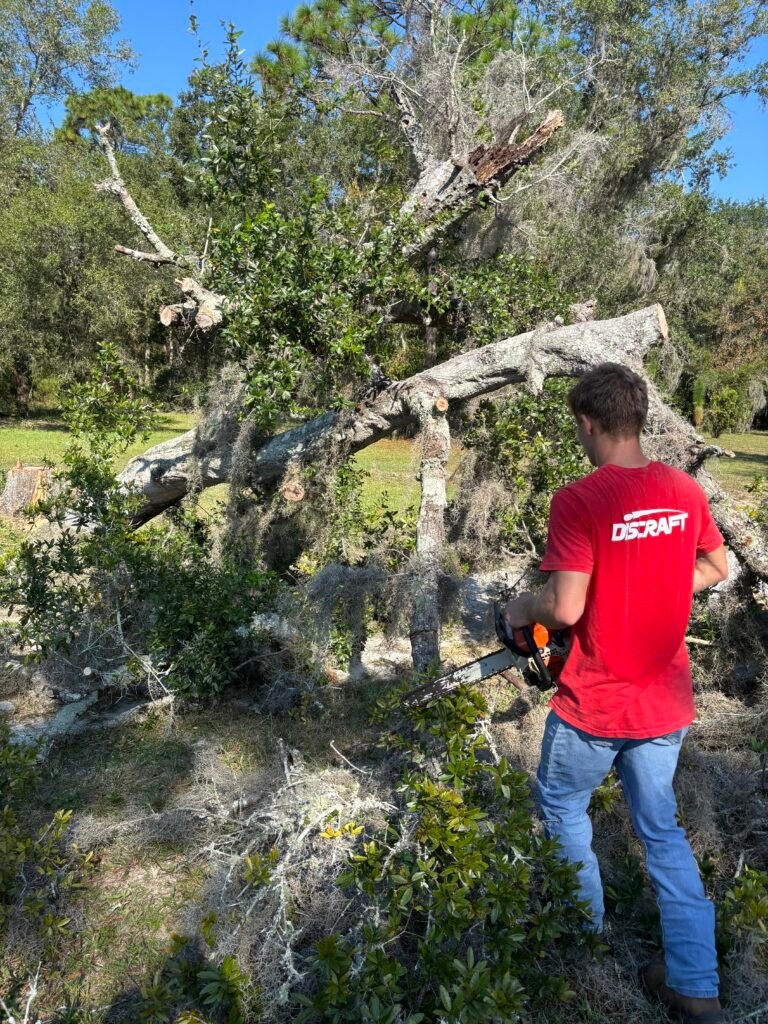 Crew member cutting down a tree during removal work.