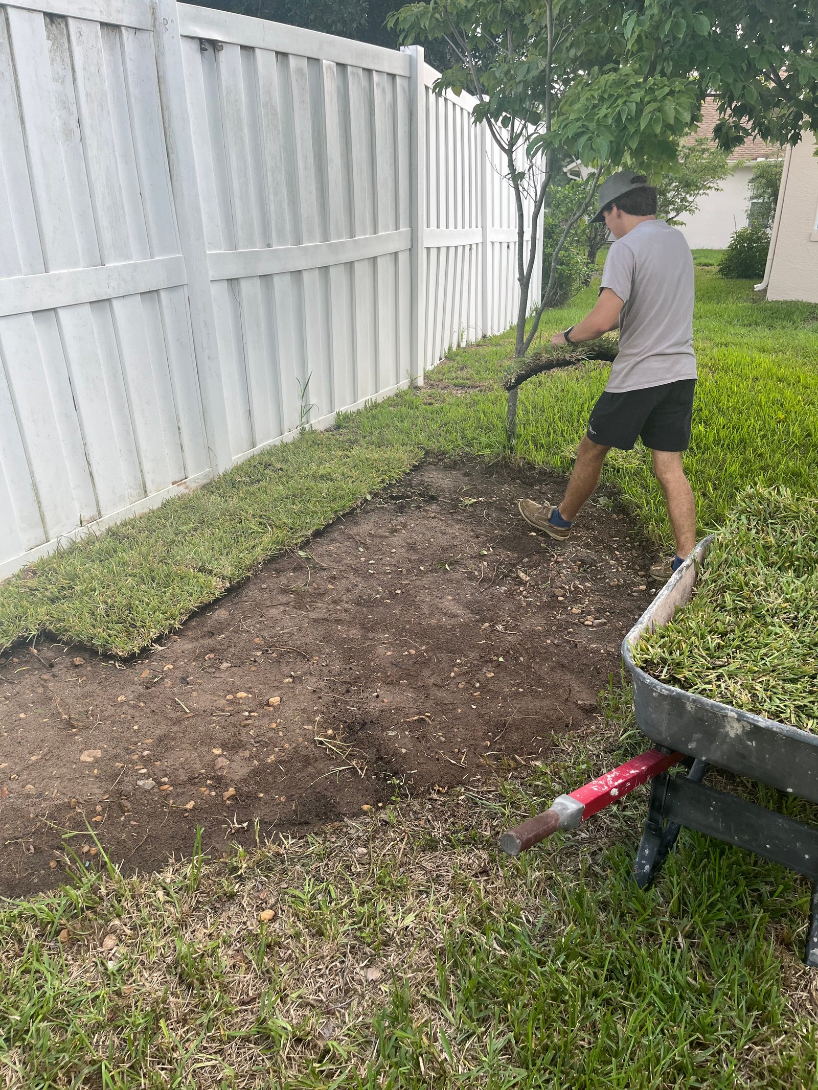 Sod installation prep along a fence line before the fresh grass is fully laid in place.